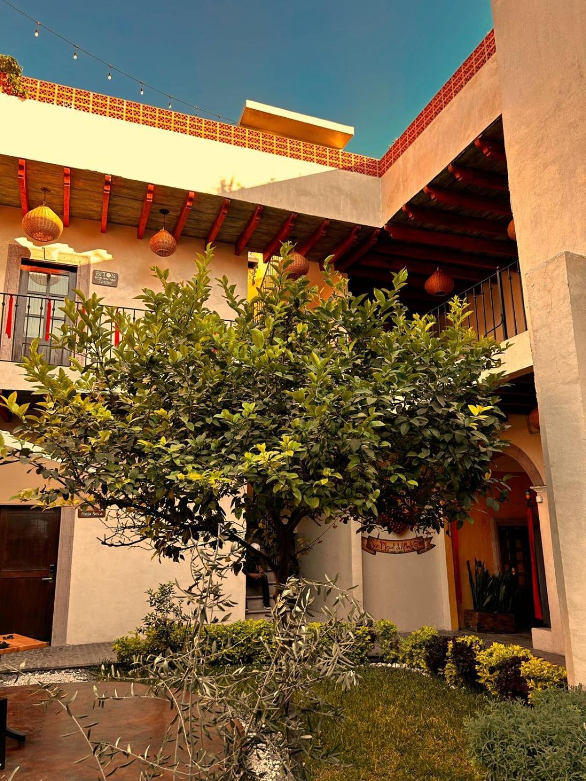 Bito'S Hotel Boutique San Miguel de Allende Bagian luar foto